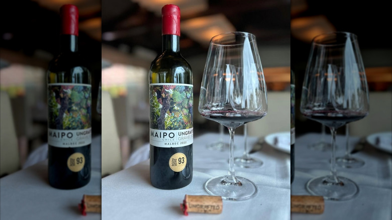 bottle of red wine with glass