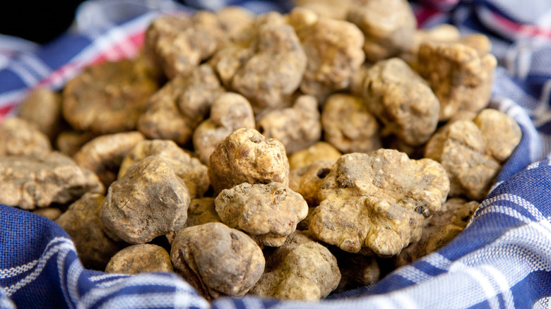 bunch of white truffles