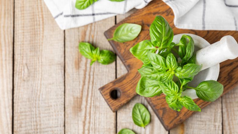 Fresh green basil leaves placed in a spice mortar against a wooden background