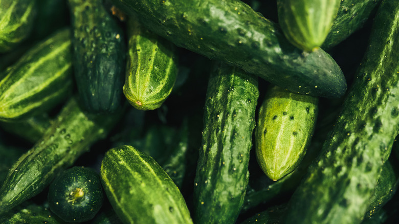 Close-up shot of cucumbers placed together