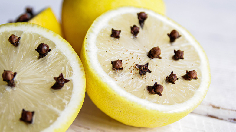 Pieces of clove placed in lemons