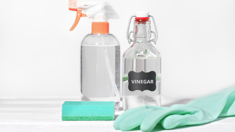 A bottle of white vinegar placed against cleaning gloves, scrubbing sponge and a spray bottle