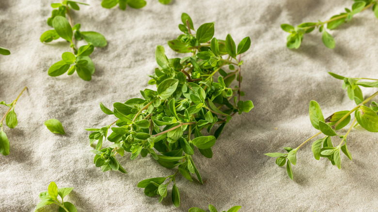 Fresh marjoram leaves 