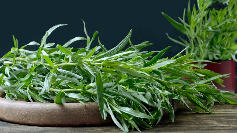 Pile of fresh tarragon 