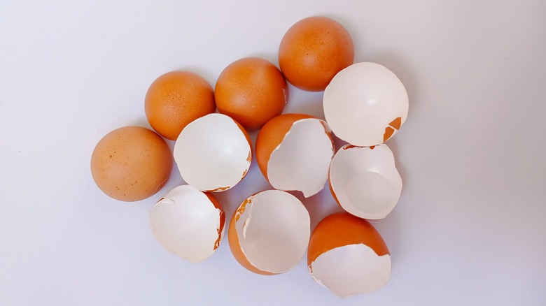 many cracked eggshells