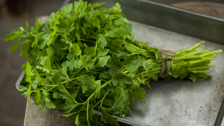 Bunch of fresh parsley