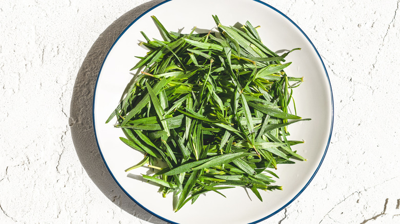 Dish of fresh tarragon leaves