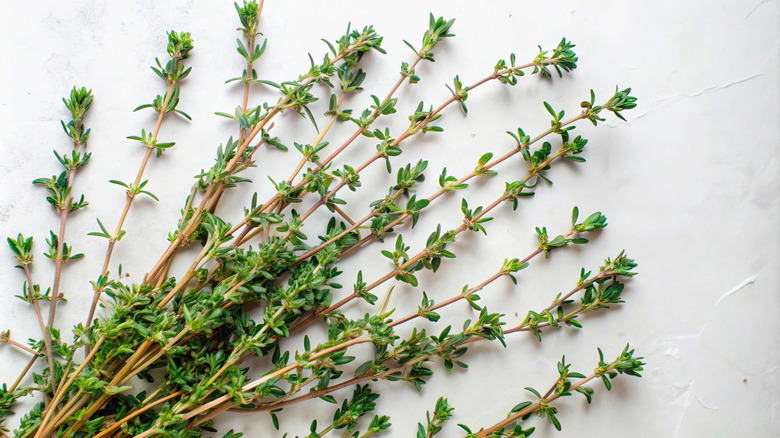 Fresh thyme sprigs on white background