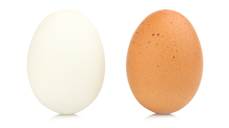 Brown egg and white egg