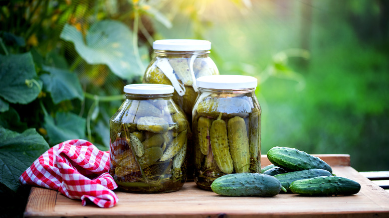 jars of whole sour pickles