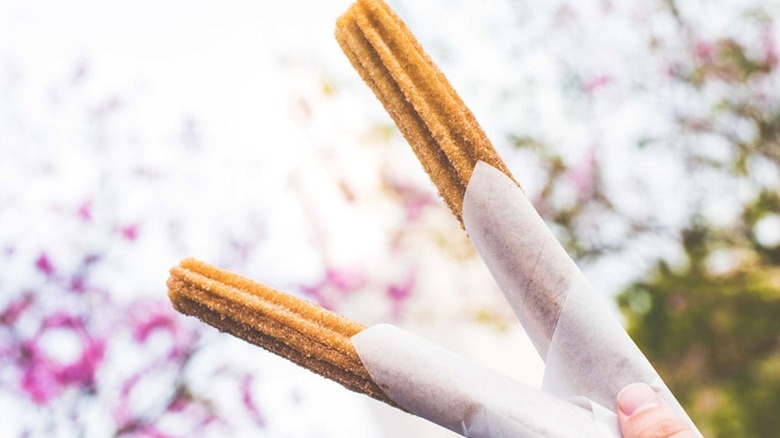 Cinnamon-sugar churros 