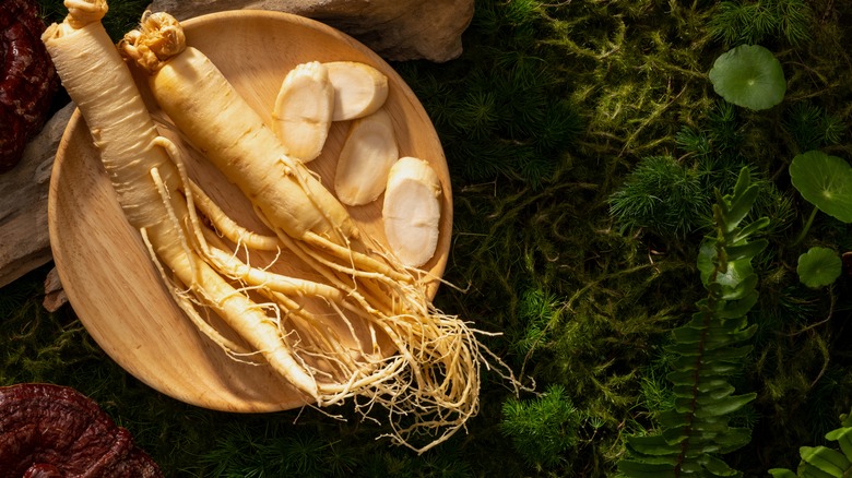 Ginseng root with greenery