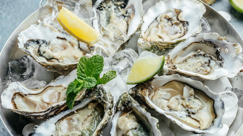 Oysters on plate with citrus