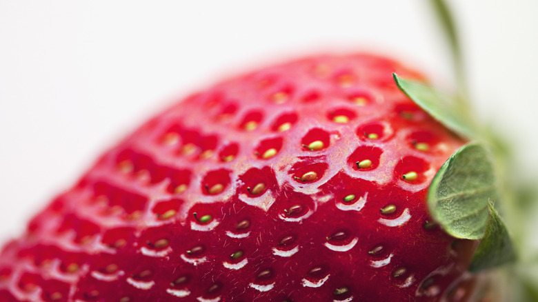 Macro photo of a strawberry