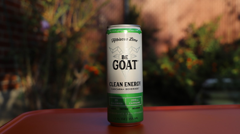 Can of BeGOAT outdoors