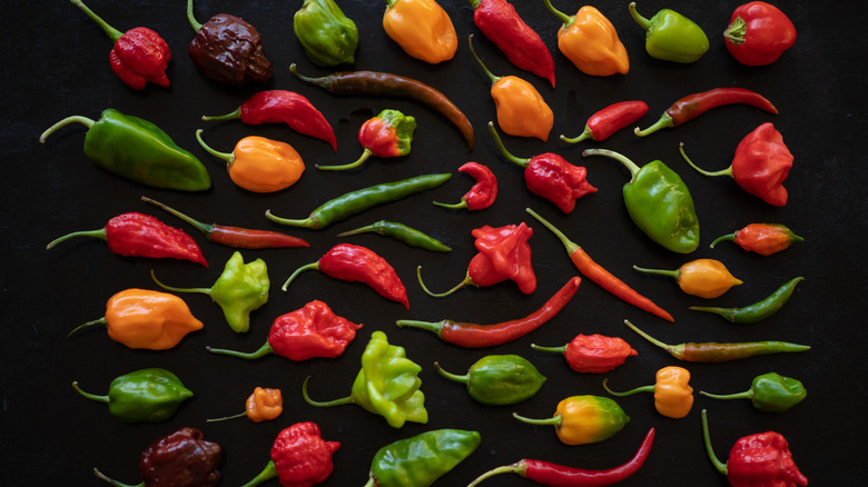 Assorted chili peppers