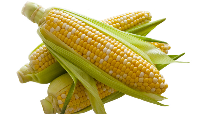 Yellow corn on husk