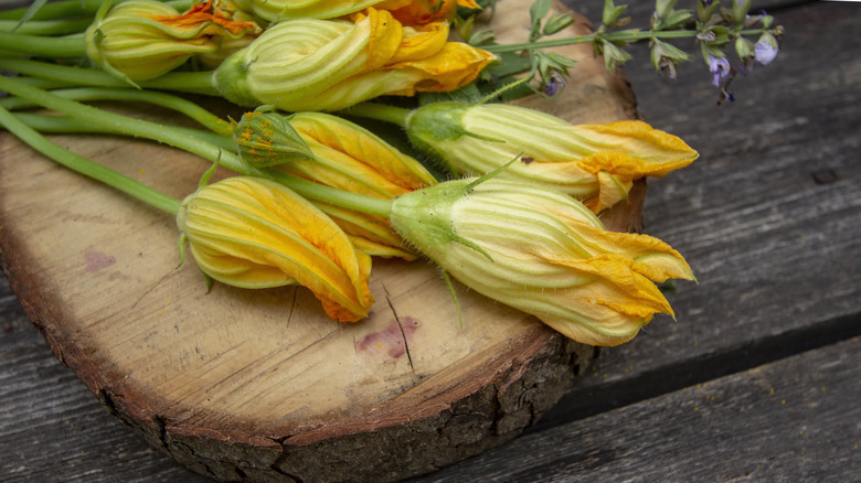 Fresh squash blossoms