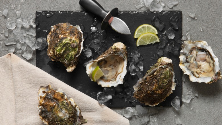 Oysters with lemon and ice