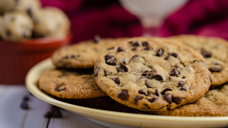 Plate of chocolate chip cookies