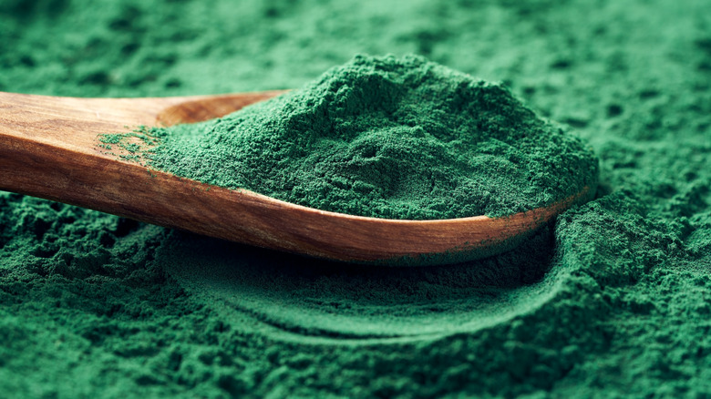 powdered spirulina algae