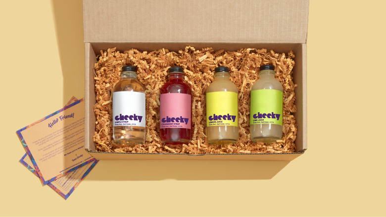 Cheeky Cocktails bottle kit boxed