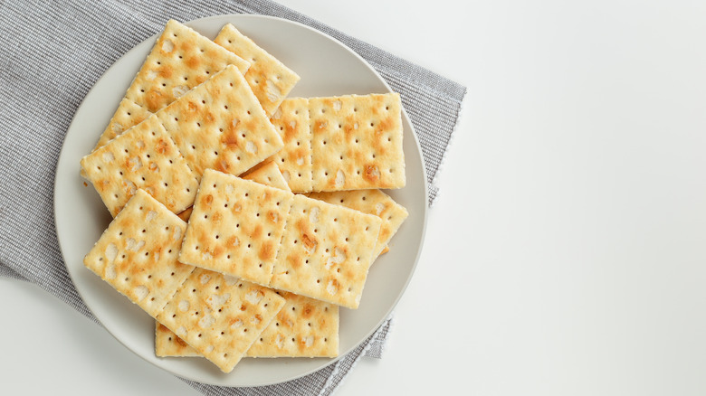 Salty crackers on plate