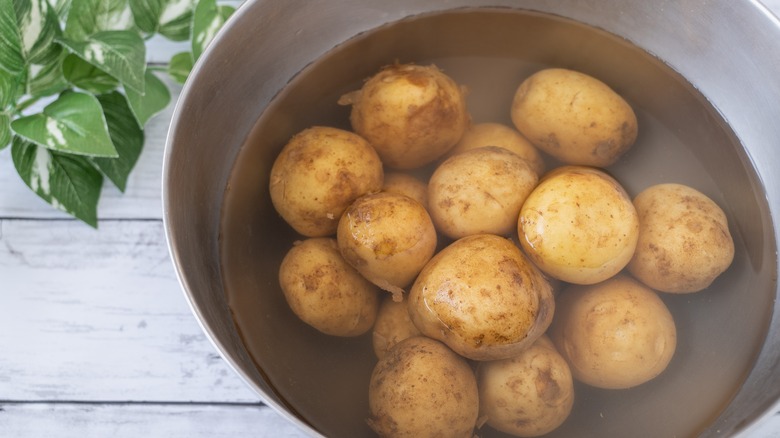 Potatoes submerged in liquid in bowl