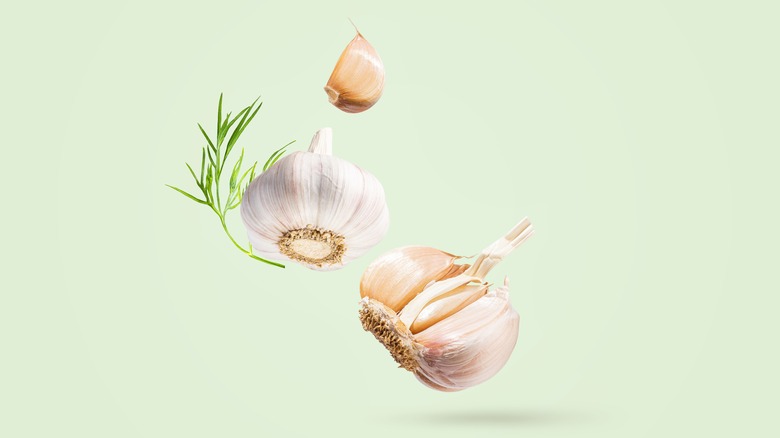 Garlic cloves and dill sprig