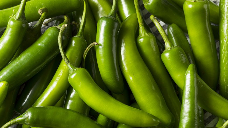 Shiny green serrano hot peppers