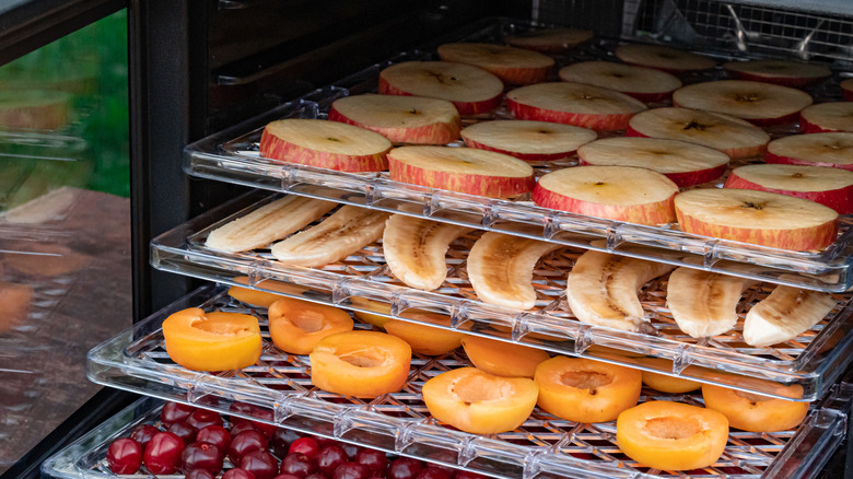 Dehydrating fruits and vegetables