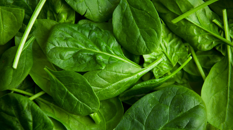 Pile of green spinach 