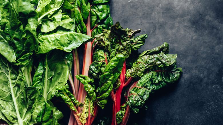 Rainbow swiss chard