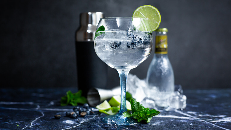 Gin and tonic cocktail