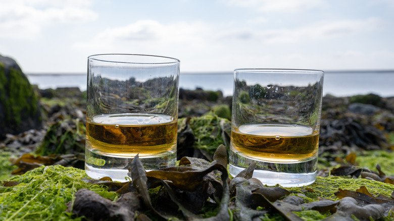 Two glasses of Scotch