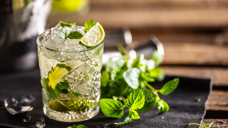 Mojito cocktail