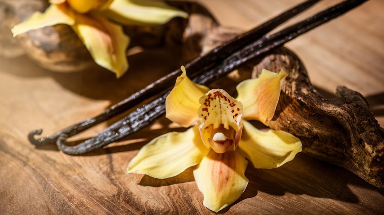 Vanilla flowers and pods close up