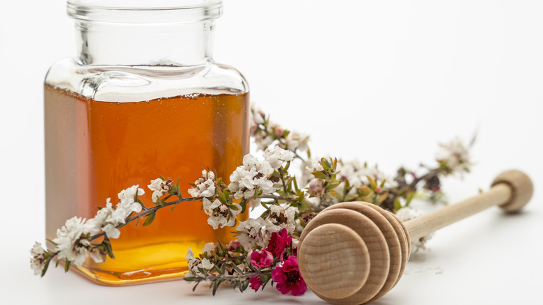 manuka honey and manuka flowers