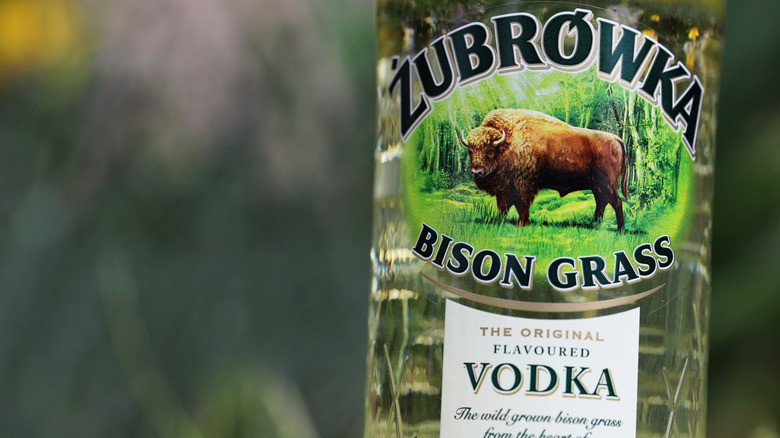 Bottle of Zubrowka Bison Grass in the grass outside