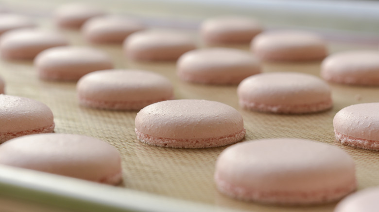 macarons on baking sheet