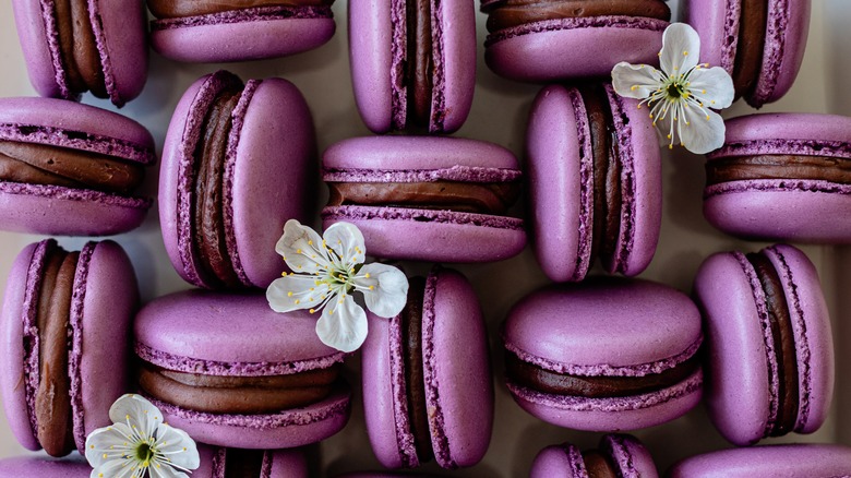 https://www.tastingtable.com/img/gallery/15-minimum-tips-for-baking-the-absolute-best-macarons/intro-1701116108.jpg
