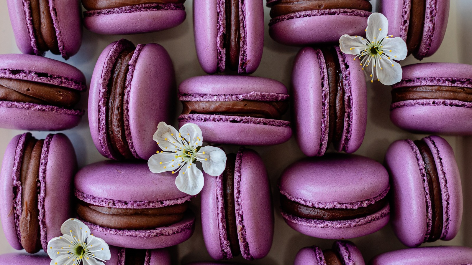 Macarons Mats - Pastry Chef's Boutique