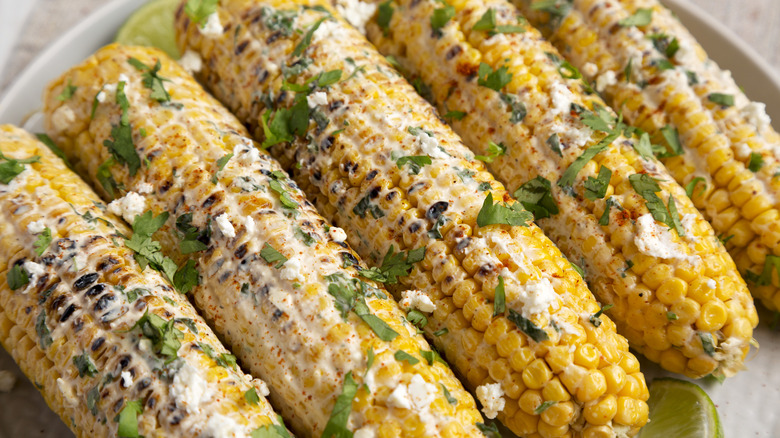 corn on the cob