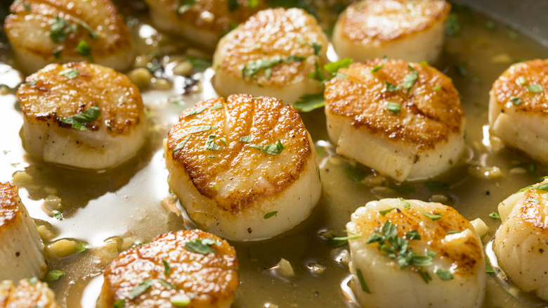 Seared scallops