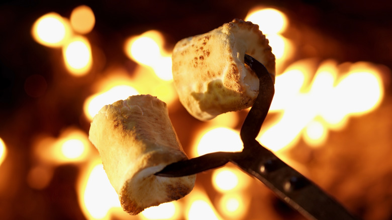 cooking marshmallows on metal skewer