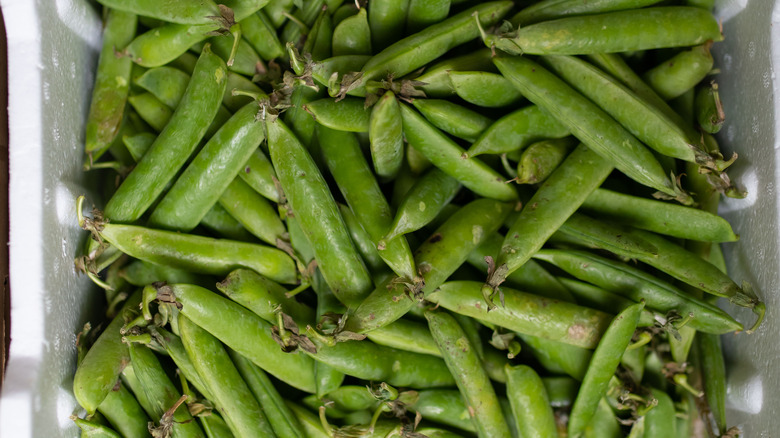 sugar snap peas 