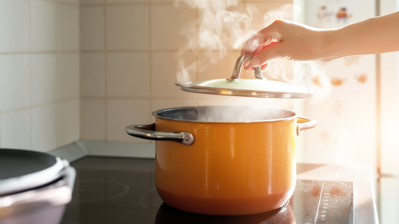 Pot of steaming water on stovetop