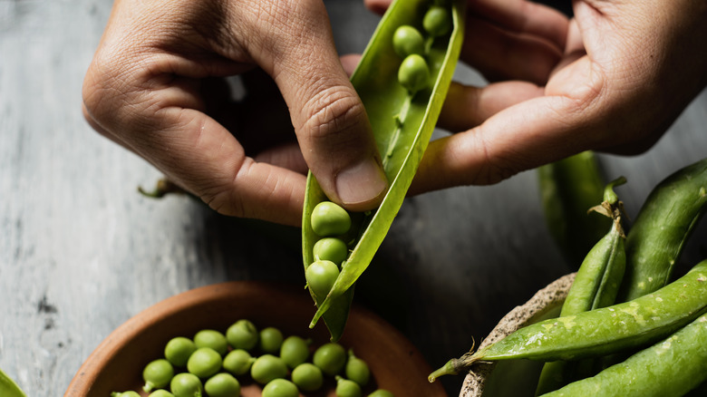 Shelling green peas 