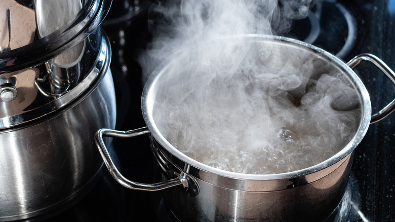 Steam, boiling water in pot