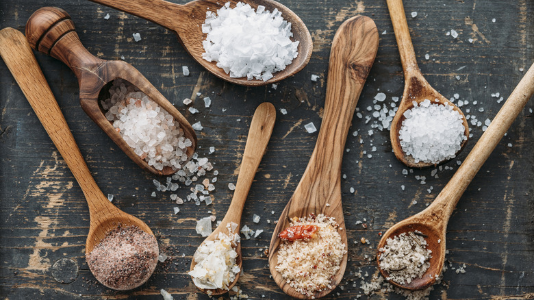 Several cooking salts on wooden spoons